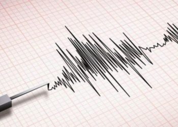 IGJEUM publikon të dhënat: Qytetarët tremben pa arsye dhe largohen nga Tirana dhe Durrësi, por kanë rënë 7 të tjerë, i fundit sot në orën 7 në Korçë