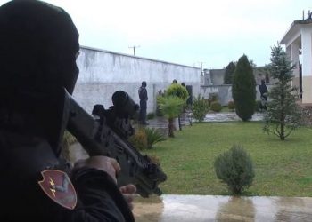 VIDEO/ Publikohen pamje të reja nga aksioni ‘anti-KÇK’ në Shkodër: OFL-të i shkojnë brenda vilës luksoze , gruaja del në ballkon me dy qentë e saj