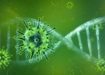 Një tjetër virus i panjohur habit shkencëtarët