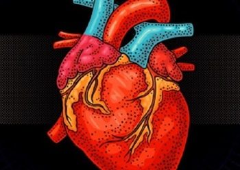 “E bërë nga indet e përdorura”: Gati zemra e parë bionike