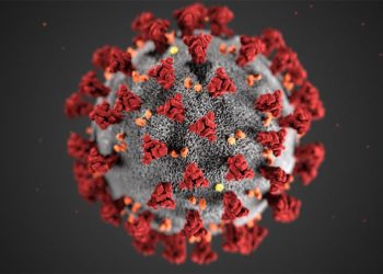 Çfarë nuk dimë ende për Covid-19, virusin që “pushtoi” botën