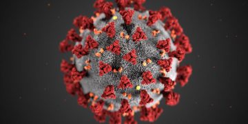 Çfarë nuk dimë ende për Covid-19, virusin që “pushtoi” botën