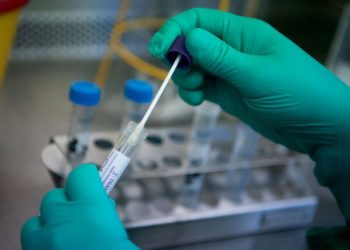 Pandemia e koronavirusit, Gjermania gati për testin e madh kombëtar
