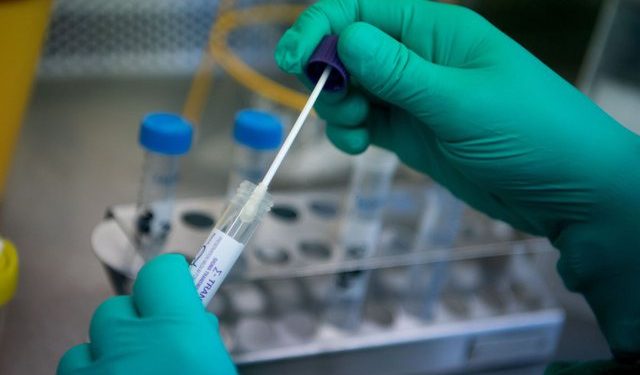 Pandemia e koronavirusit, Gjermania gati për testin e madh kombëtar