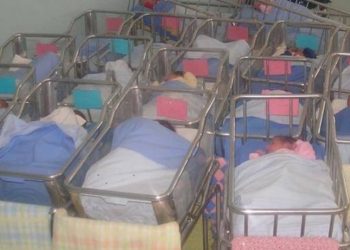 Italia e gjunjëzuar nga koronavirusi, por natyra kompenson dhe bën mrekulli, vjen lajmi më i bukur që mund të merrni këto ditë