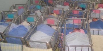 Italia e gjunjëzuar nga koronavirusi, por natyra kompenson dhe bën mrekulli, vjen lajmi më i bukur që mund të merrni këto ditë