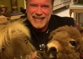 “Qëndroni në shtëpi, mos u bëni idiotë”! Schwarceneger mesazh nga karantina me dy miqtë e tij unik