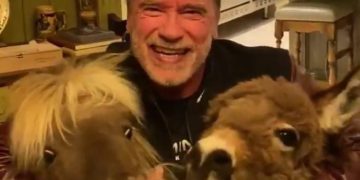 “Qëndroni në shtëpi, mos u bëni idiotë”! Schwarceneger mesazh nga karantina me dy miqtë e tij unik