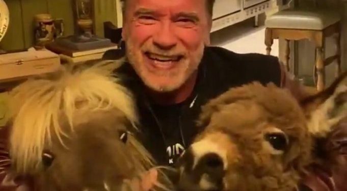 “Qëndroni në shtëpi, mos u bëni idiotë”! Schwarceneger mesazh nga karantina me dy miqtë e tij unik