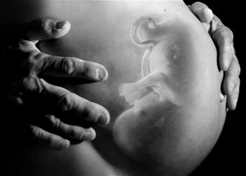 Vagina nga dola unë, duhej të mbyllej!