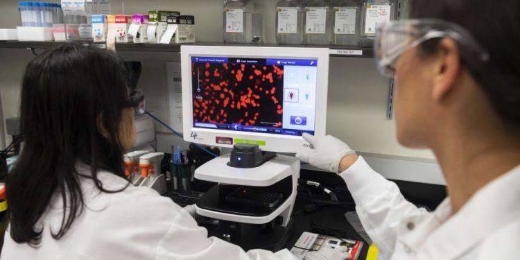 Shkencëtarët: Ilaçet ekzistuese për malarjen, artritin dhe ebolën përgjigja më e shpejtë ndaj koronavirusit