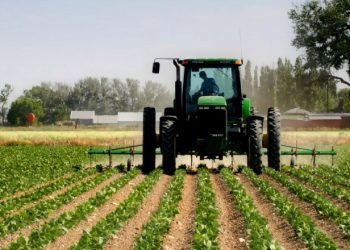 Mbyllja e kufijve nga koronavirusi: Grekët “qajnë” punëtorët shqiptarë