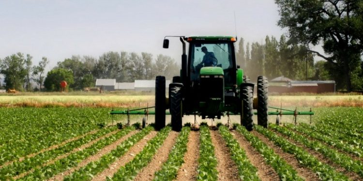 Mbyllja e kufijve nga koronavirusi: Grekët “qajnë” punëtorët shqiptarë