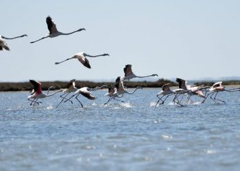 Albumi me pamjet e veçanta nga bota:  “The Guardian” sjell super foton nga Shqipëria