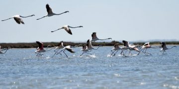 Albumi me pamjet e veçanta nga bota:  “The Guardian” sjell super foton nga Shqipëria