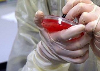 Sytë janë kthyer nga shkenca, vaksina është shpëtimtari që mezi po pritet, ja se kur mund të dalë