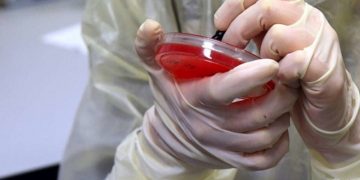 Sytë janë kthyer nga shkenca, vaksina është shpëtimtari që mezi po pritet, ja se kur mund të dalë