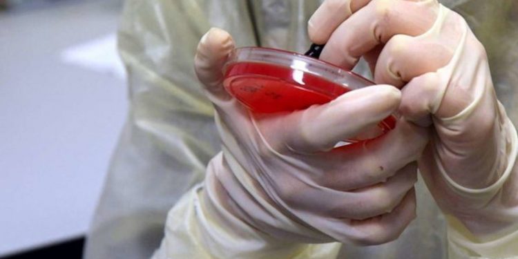 Sytë janë kthyer nga shkenca, vaksina është shpëtimtari që mezi po pritet, ja se kur mund të dalë