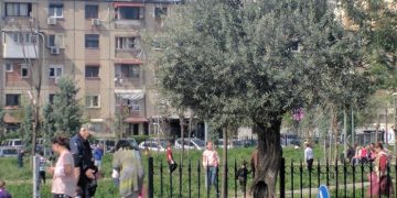“Kur budallallëku sfidon edhe virusin edhe shkencën”! Gazetari shqiptar tregon episodin me të cilin u përball sot në Tiranë dhe shpërthen i revoltuar (Foto)