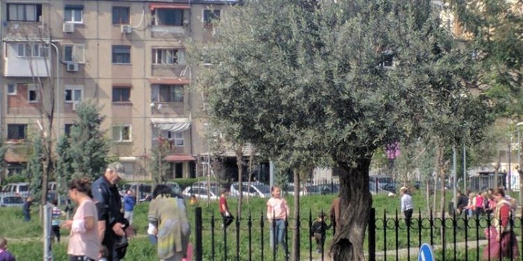 “Kur budallallëku sfidon edhe virusin edhe shkencën”! Gazetari shqiptar tregon episodin me të cilin u përball sot në Tiranë dhe shpërthen i revoltuar (Foto)