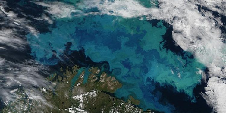 Pse viruset janë ende shumë të rëndësishme për tokën?! Nga klima e deri tek pjesët më intime te njerëzit