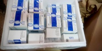 Kina ndihmon Shqipërinë me teste për COVID-19, ISHP: Bujari nga një vend me zemër të madhe