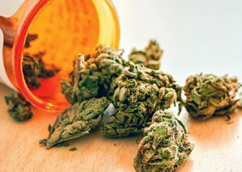 Rama jep lajmin e papritur: Qeveria po përgatitet të ligjërojë kanabisin mjekësor