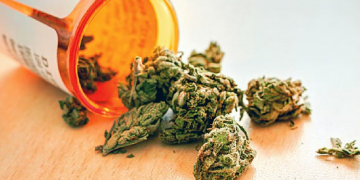 Rama jep lajmin e papritur: Qeveria po përgatitet të ligjërojë kanabisin mjekësor