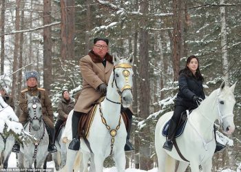 “Mjekut i dridheshin duart kur doli nga salla…operacioni i Kim Jong shkoi keq”!