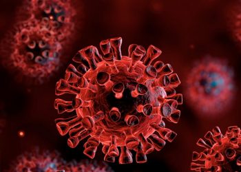 COVID-19: Ditë rekordesh pozitive për treguesit kryesorë të gjendjes së pandemisë në Europë dhe në Botë