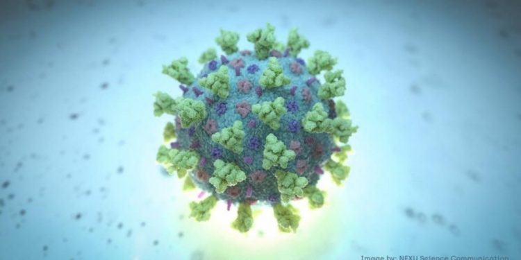 Ekspertët evropianë, gati teknologjinë për të parandaluar përhapjen e koronavirusit përmes smartphone-ve