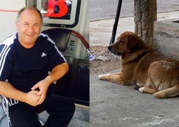 “Si në filmin Haçiko”: Qeni me sytë nga shkalla pret Skënder Kurtin, ish-trajnerin e boksit i cili ndërroi jetë nga Covid-19