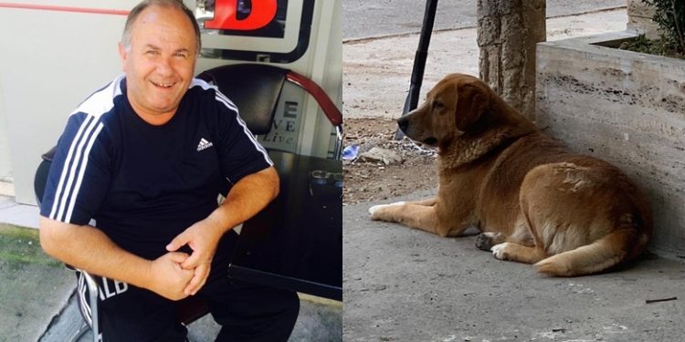 “Si në filmin Haçiko”: Qeni me sytë nga shkalla pret Skënder Kurtin, ish-trajnerin e boksit i cili ndërroi jetë nga Covid-19