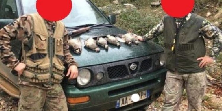 “Masakër” në pyjet e Shqipërisë: Dhjetëra gjahtarë shfrytëzojnë situatën nga Covid-19 për të vrarë kafshë dhe shpendë të rralla