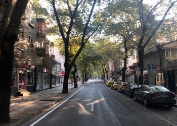 PD akuza Veliajt për shkelje ligjore: Heqja e parkimit publike për korsi biçikletash te “Myslim Shyri” një goditje e rëndë për bizneset!