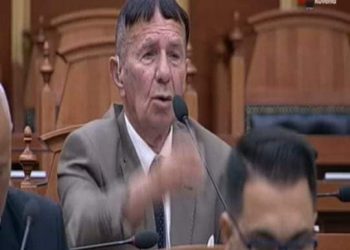 “I fundit i Mohikanëve”, deputeti shqiptar çudit Parlamentin me modelin e ri të flokëve