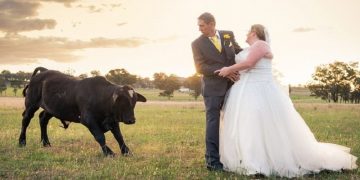 Donin një foto të përsosur për dasmën në fshat, por çifti përballet me ‘surprizën’ e demit