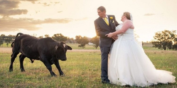 Donin një foto të përsosur për dasmën në fshat, por çifti përballet me ‘surprizën’ e demit