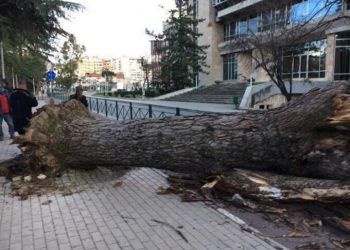 Na pret një Verë e nxehtë! Temperatura të larta e erë e fortë, stuhi Sahariane në Tiranë