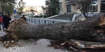 Na pret një Verë e nxehtë! Temperatura të larta e erë e fortë, stuhi Sahariane në Tiranë