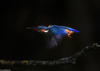 Fotografi filmon “një Britani që se keni parë kurrë”! Foto përrallore