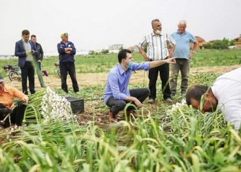 Robin Hudi apo djathtist m**i?!  Basha me “planin të madh” para fermerëve: Do t’ia marr oligarkëve të pasur dhe do t’ua jap juve të varfërve, është shumë e thjeshtë!