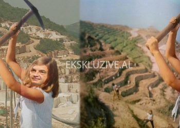 Sa mirë i di oraret e hajdutëve! Meta nuk ndalet me sulme nga “mërzitja” për teatrin: Në atë orë vidhen pulat në fshat