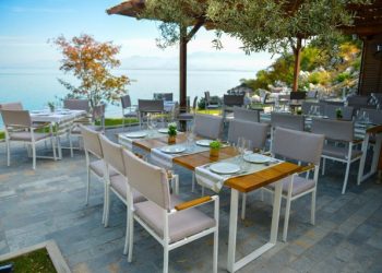 Të parët në botë, me 518 bare për 100 mijë banorë, hapet sot biznesi i preferuar i shqiptarëve, por priten shumë falimente…