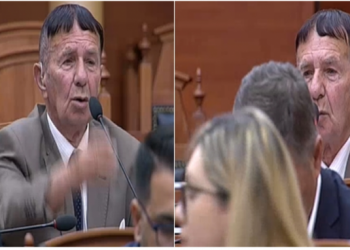 “I fundit i Mohikanëve”, deputeti shqiptar çudit Parlamentin me modelin e ri të flokëve