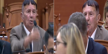 “I fundit i Mohikanëve”, deputeti shqiptar çudit Parlamentin me modelin e ri të flokëve