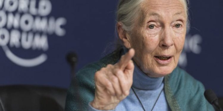 Shkencëtarja e njohur del me paralajmërimin e frikshëm: “Njerëzimit do t’i vijë fundi nëse nuk përshtatet pas pandemisë”!