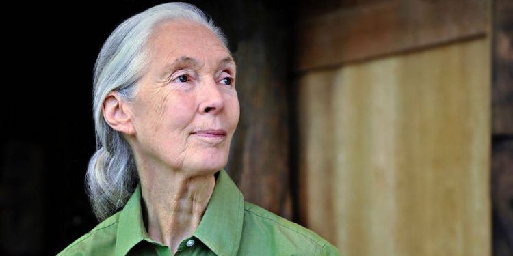 Shkencëtarja e njohure shqetësuar bënë paralajmërimin e fortë: Njerëzimit do t’i vijë fundi nëse nuk përshtatet pas pandemisë