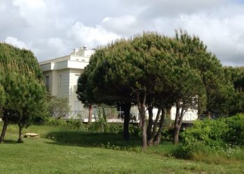 Habit dhëndëri i Berishës! I shqetësuar për ‘’oligarkët” që ndërtojnë te vila e vjehrrit, që thotë se e është e Abit dhe vajzës: Bjellorusët do t’i çosh në Lalëz të shohin ca bandito-oligarkë?!