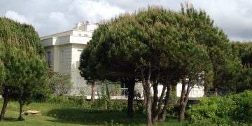 Habit dhëndëri i Berishës! I shqetësuar për ‘’oligarkët” që ndërtojnë  te vila e vjehrrit, që thotë se e është e Abit dhe vajzës: Bjellorusët do t’i çosh në Lalëz të shohin ca bandito-oligarkë?!